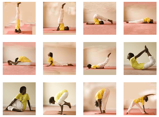 sivananda 12 asanas
