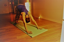 inverted v palms together